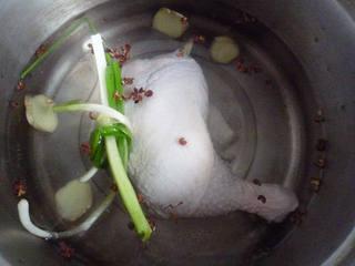 Spicy Chicken Thigh Salad step 2: In a pot, add scallion segments and ginger slices along with sake. Place chicken