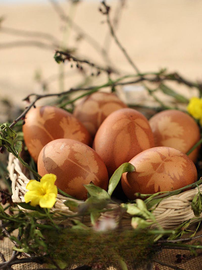 Five-Spice Botanical Tea Eggs recipe photo