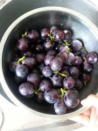 Homemade Grape Wine step 2: Wash the grapes gently and avoid scrubbing away the natural yeast bloom on the s