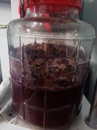 Homemade Grape Wine step 5: After about 3 days, fermentation should become active. The grape skins will rise