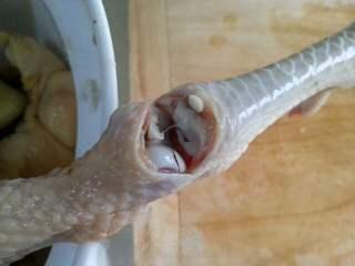 Five-Spice Roasted Chicken step 7: Make a small slit near one leg joint and tuck the leg securely to help the chick