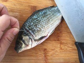 Papaya Carp Soup Recipe step 1: Clean the carp thoroughly and remove the fishy tendons near the gills and tail. 