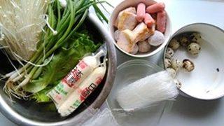 Spicy Hot Pot Noodle Soup step 1: Gather and prepare all the ingredients.