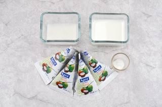 Homemade Coconut Yogurt step 1: Gather and prepare all the ingredients.