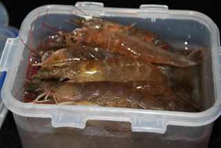 Crispy Breaded Prawns step 2: Place the prawns in the freezer for about 2 hours. This makes peeling easier whi