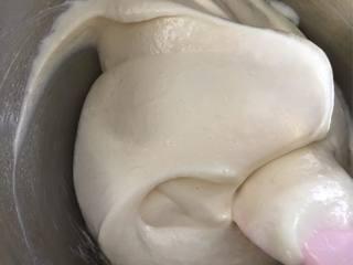 Japanese Yogurt Cheesecake step 10: Fold gently until no streaks remain and the batter is smooth and airy.