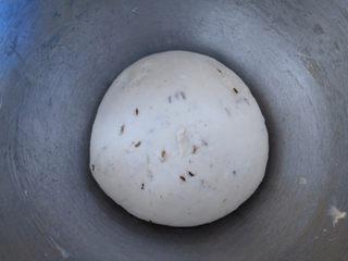 Cumin Fried Dough Sticks step 5: Cover the dough with a damp cloth and let it rise until it reaches about 2½ time