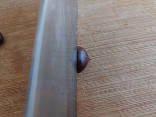 Candied Chestnuts step 2: Using a sharp knife, make a shallow slit across the rounded side of each chestnu