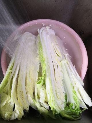 Fruit Kimchi with Napa Cabbage step 2: Rinse the cabbage thoroughly under running water.