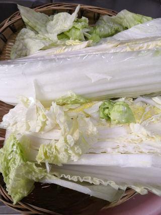 Fruit Kimchi with Napa Cabbage step 3: Drain and dry the cabbage completely.