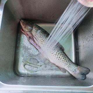 Catfish and Tofu Vegetable Soup step 1: Clean the catfish thoroughly and remove any unwanted parts.