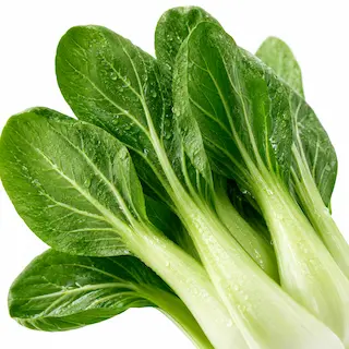 Close-up of bok choy leaves and pale green stems